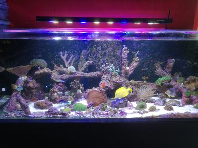 Aquarium Gesamtansicht.jpg