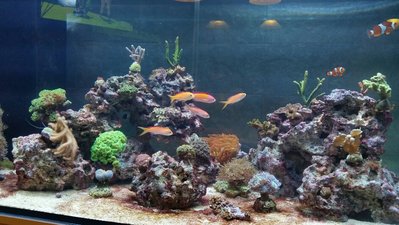 2017-02-26 08.00.42.jpg