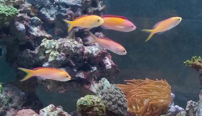 2017-02-26 08.00.06.jpg