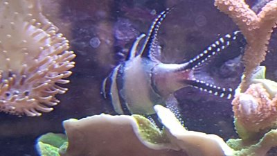 2017-02-26 12.48.14.jpg