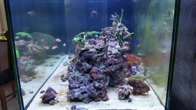 2017-03-05 16.50.36.jpg