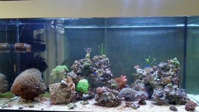 2017-03-05 16.25.38.jpg