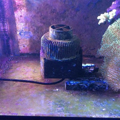 k-Foto 09.03.17, 18 32 17.jpg