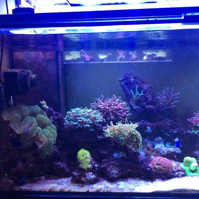 k-Foto 09.03.17, 18 46 20.jpg