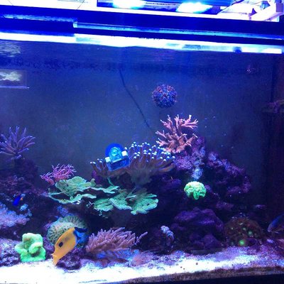 k-Foto 09.03.17, 18 46 26.jpg