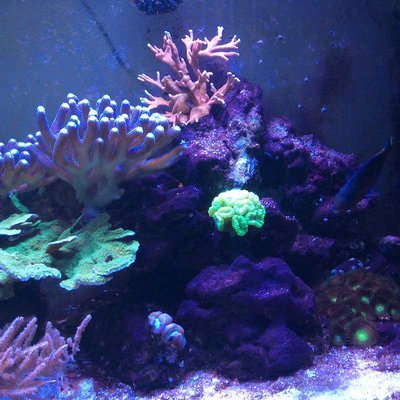 k-Foto 09.03.17, 18 46 40.jpg