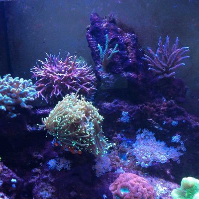 k-Foto 09.03.17, 18 46 46.jpg