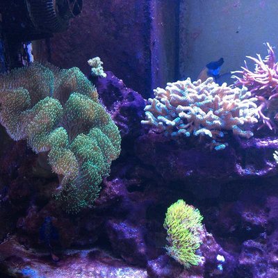 k-Foto 09.03.17, 18 46 50.jpg