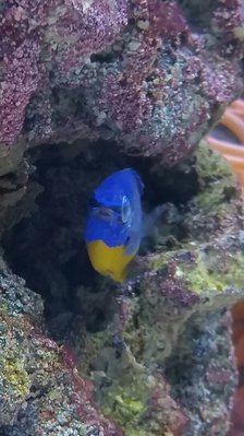 2017-03-18 10.40.14.jpg