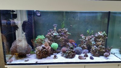 2017-04-03 21.40.08.jpg