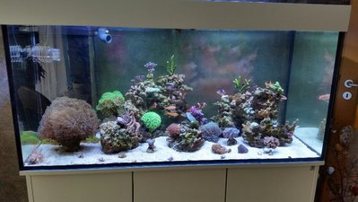 2017-04-17 13.55.27.jpg