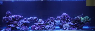 Startbesetzung 28.5.2017.jpg