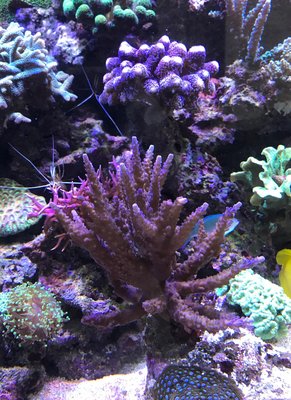 Bild vom 06..09.2017