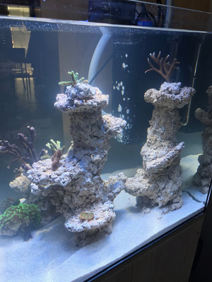 WhatsApp Image 2017-11-30 at 16.46.52.jpeg