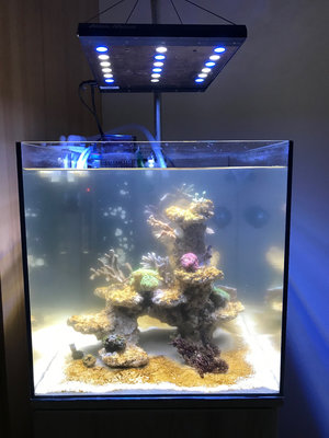 WhatsApp Image 2017-11-30 at 16.47.04.jpeg