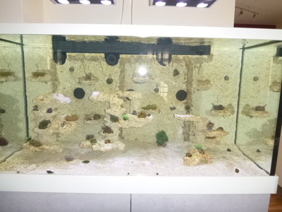 am 08.12. morgens nach Entnahme von keramik