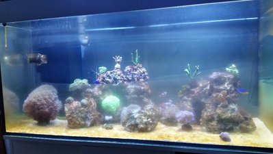 2017-02-09 19.12.33.jpg